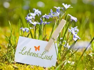 Karte mit Aufschrift ‚LebensLust‘ zwischen blühenden Blumen – visuelle Einladung zur Lebendigkeit und innerem Wachstum.