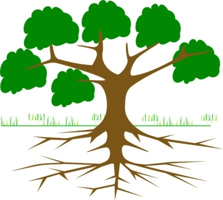 Ein Baum mit tiefen Wurzeln als Symbol für die Reinkarnationstherapie, die bei Schlafstörungen an die seelische Wurzel des Problems geht.