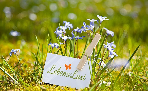 Karte mit Aufschrift ‚LebensLust‘ zwischen blühenden Blumen – visuelle Motivation für Paare Lebendigkeit zu entdecken und innerem Wachstum zu ermöglichen.