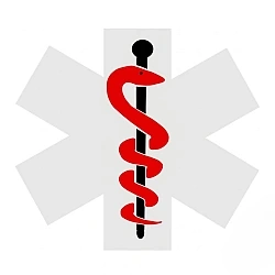 Das Bild zeigt das Symbol des Lebenssterns. Das Symbol besteht aus einem sechszackigen Stern mit einem Äskulapstab in der Mitte.
